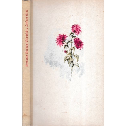 letiace tiene vajansky