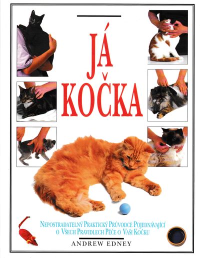 ja kocka edney ja kocka edney