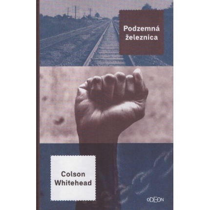 Podzemná železnica