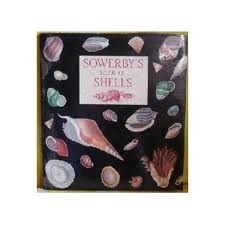 23752 Sowerby´s book of sheels – Obrázok 1