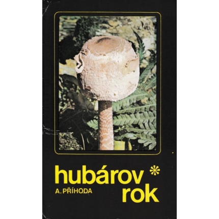 Hubárov rok (Vychádzky za hubami od jari do zimy)