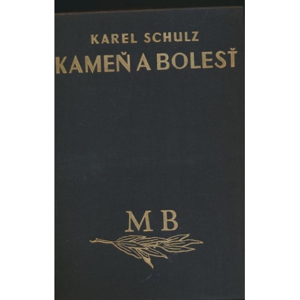 Kameň a bolesť