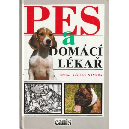 Pes a domácí lékař