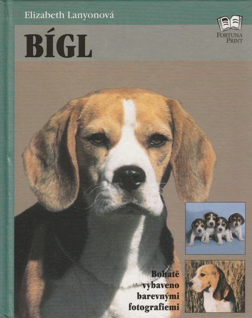 41668 Bígl – Obrázok 1