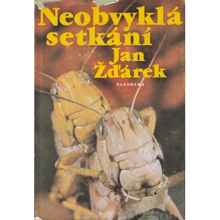 Neobvyklá setkání