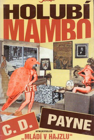 43651 Holubí mambo – Obrázok 1