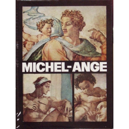 Michel  - Ange ( Le Peintre )