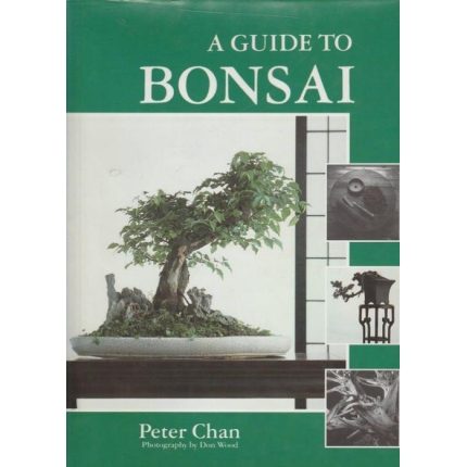 A Guide to Bonsai