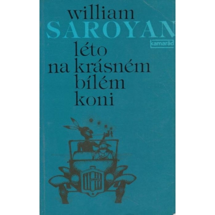 Léto na krásném bílem koni