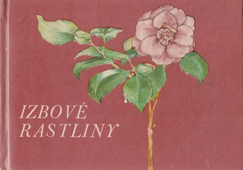 61386 Izbové rastliny – Obrázok 1