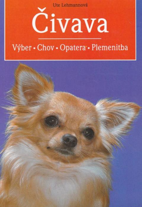 66179 Čivava (Výber, chov, opatera, plemenitba) – Obrázok 1