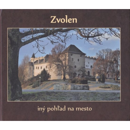 Zvolen - iný pohľad na mesto / a different view of the town
