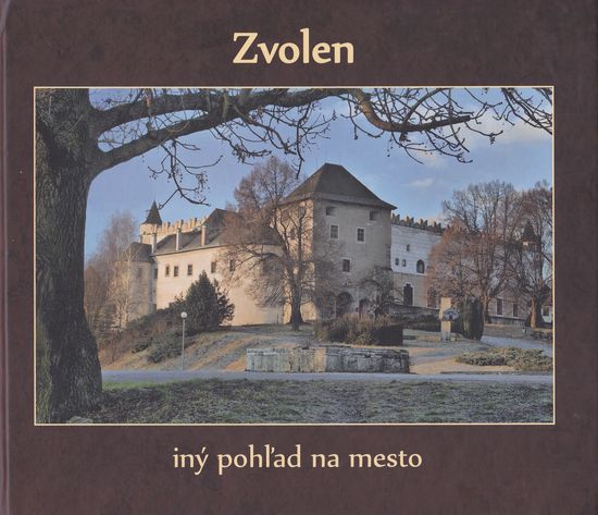 69067 Zvolen - iný pohľad na mesto / a different view of the town – Obrázok 1