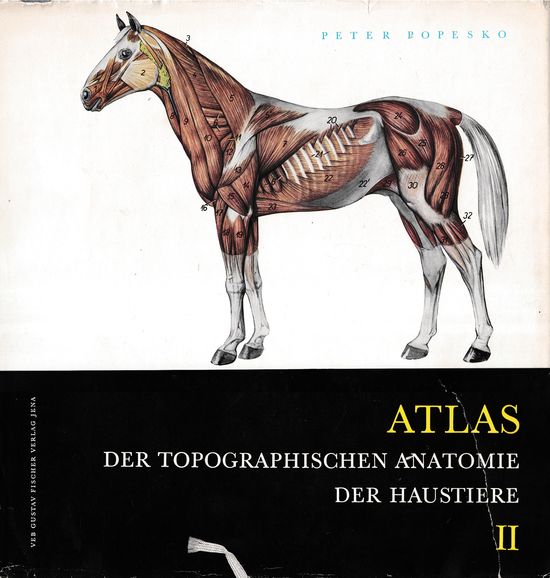 83098 Der topographischen Anatomie der Haustiere II – Obrázok 1
