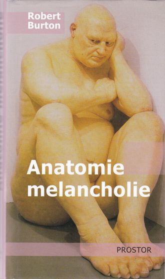 90537 Anantomie melancholie – Obrázok 1
