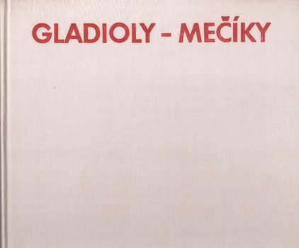 91238 Gladioly - mečíky – Obrázok 1