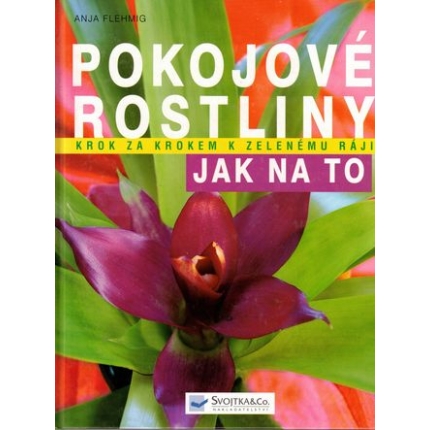 Pokojové rostliny