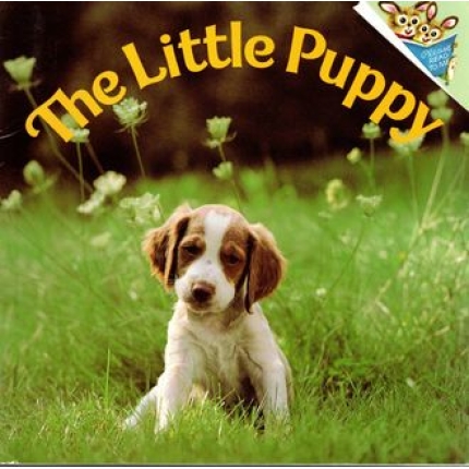 The Little Puppy