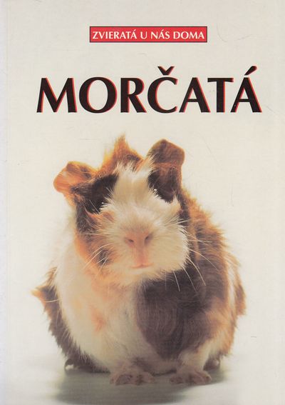 morcata altman morcata altman