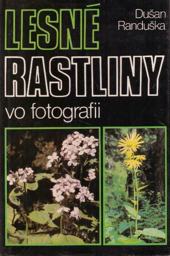 lesne rastrliny vo fotografii randuska Lesné rastliny vo fotografii – Obrázok 1