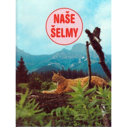 nase selmy lorenzo michaelli