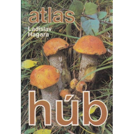 atlas hub hagara