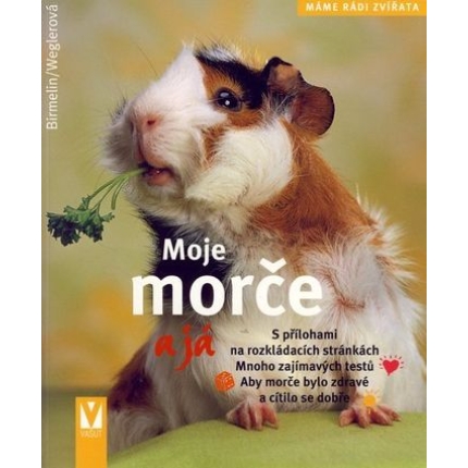 large-moje_morce_a_ja