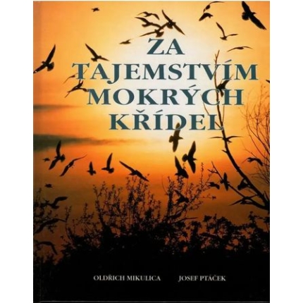 za-tajemstvim-mokrych-kridel